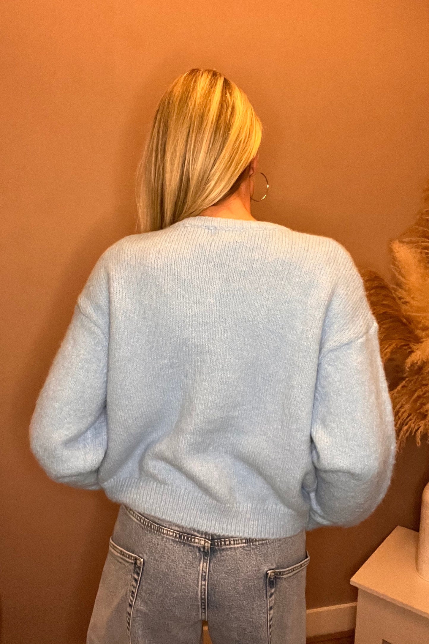 Cardigan Ivy Blue